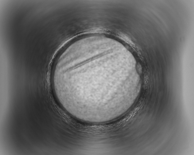 X0000095941216200802081230