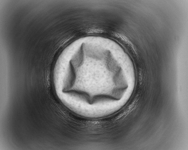 X0000095941217200802081230