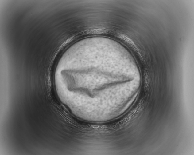 X0000095941218200802081230