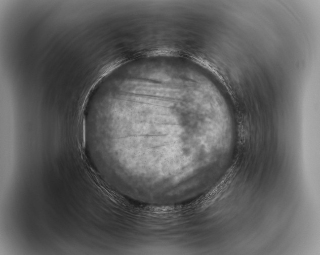 X0000095941219200802081230