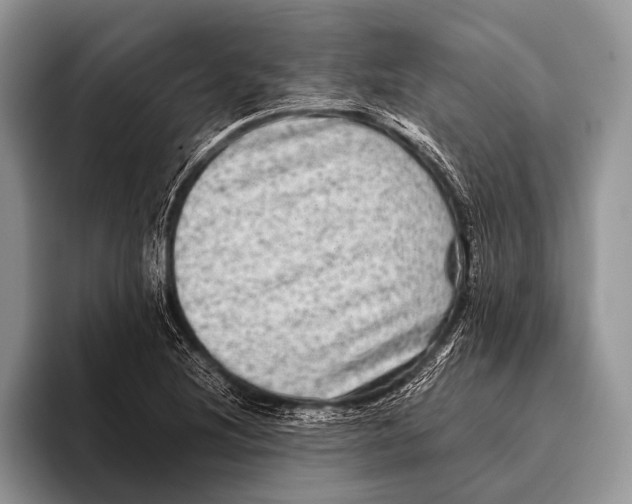 X0000095941220200802081230