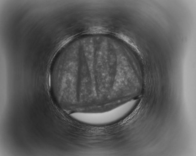 X0000095941221200802081230