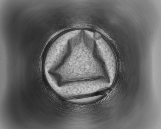 X0000095941222200802081230