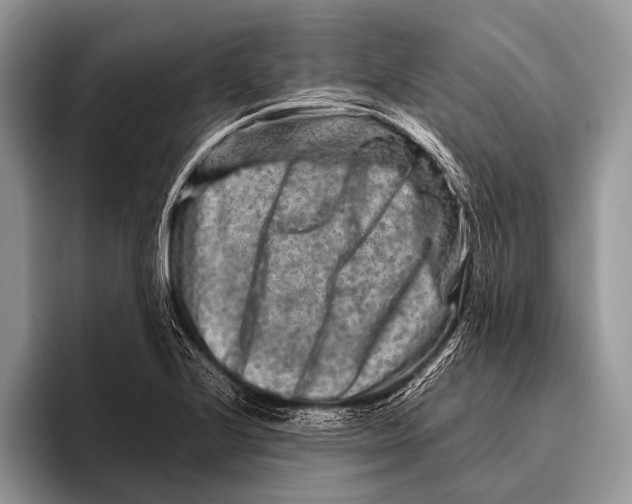 X0000095941224200802081230