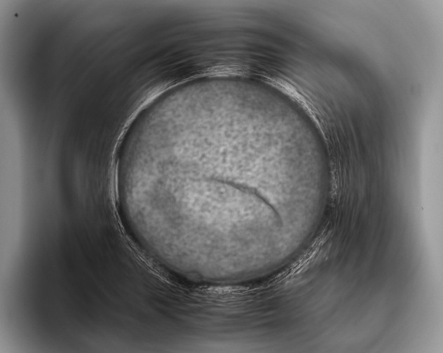 X0000095941227200802081230