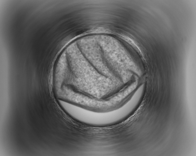 X0000095941228200802081230