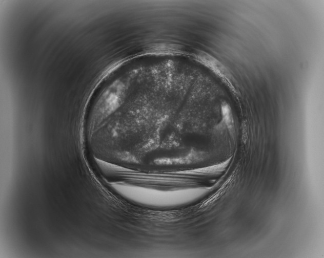 X0000095941229200802081230