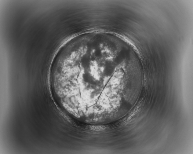 X0000095941231200802081230