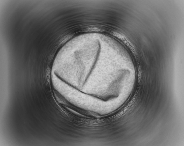 X0000095941233200802081230