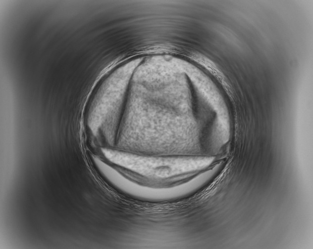 X0000095941234200802081230