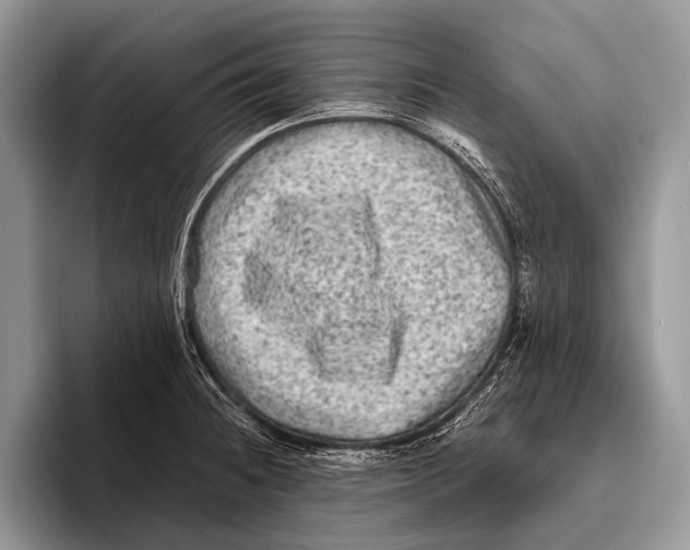 X0000095941236200802081230