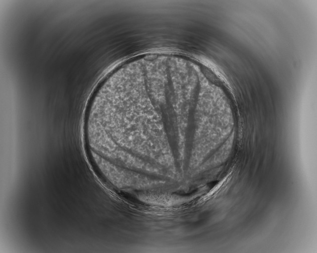 X0000095941237200802081230