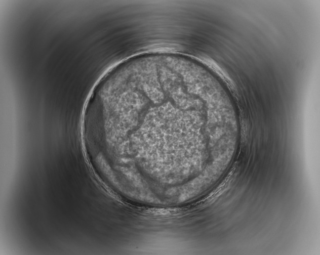 X0000095941240200802081230