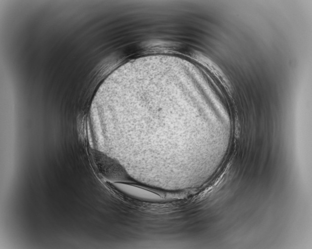 X0000095941241200802081230