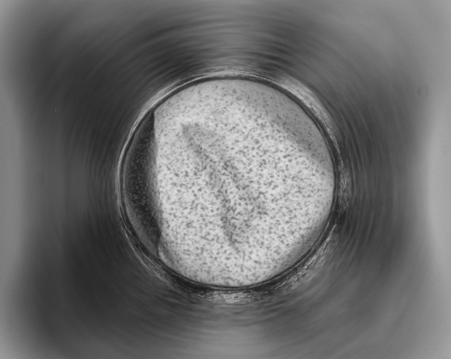 X0000095941242200802081230