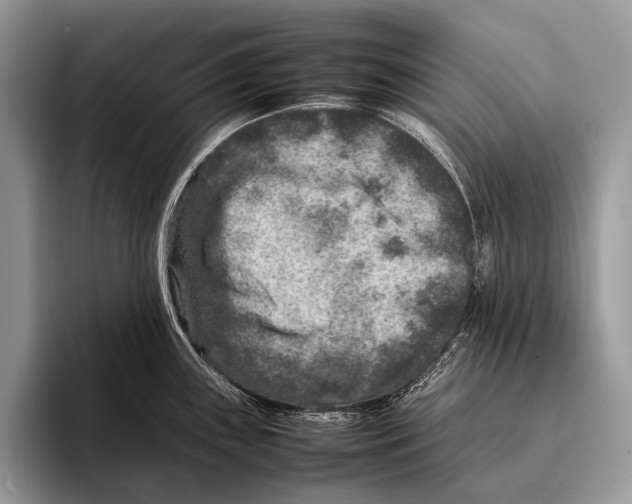 X0000095941243200802081231