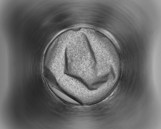 X0000095941244200802081231