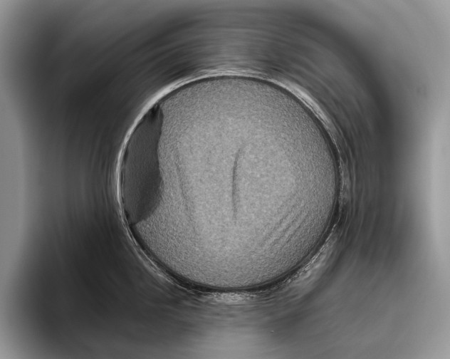 X0000095941246200802081231