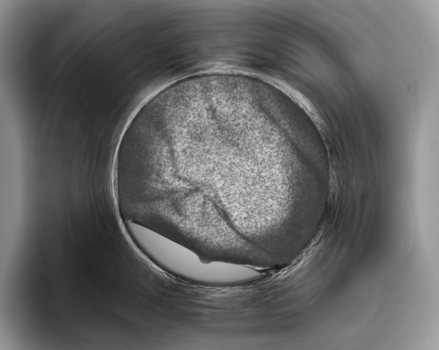 X0000095941247200802081231