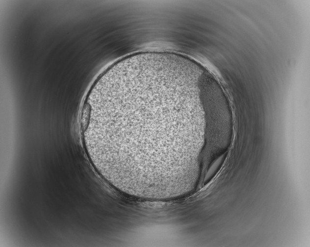 X0000095941248200802081231