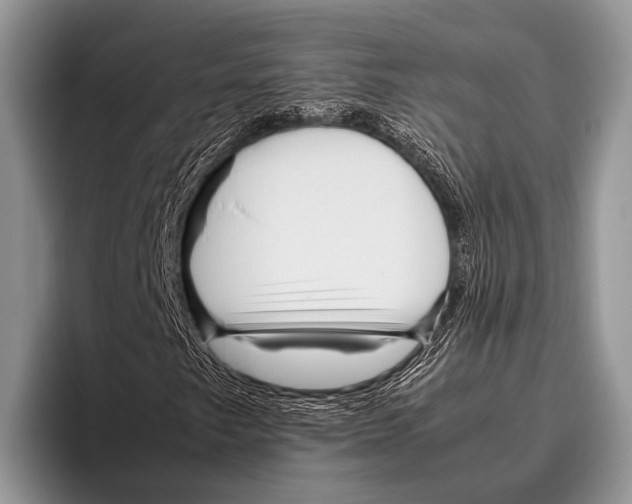 X0000095941249200802081230