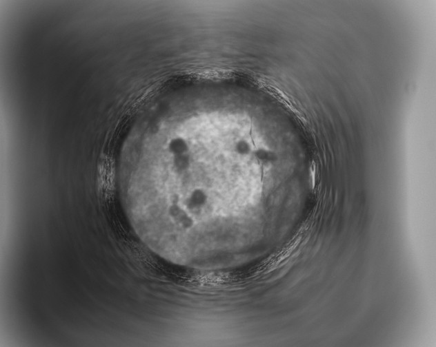 X0000095941251200802081230