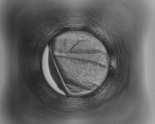 X0000095941252200802081230