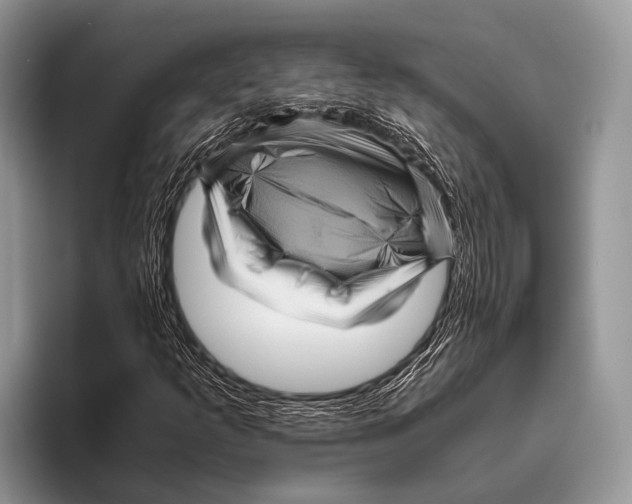 X0000095941253200802081230