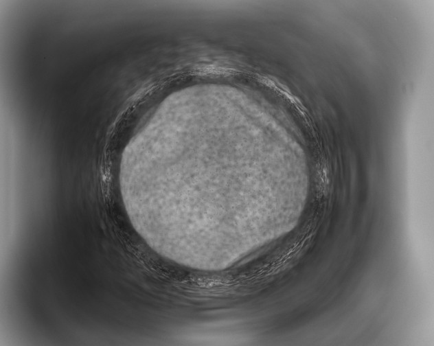 X0000095941254200802081230