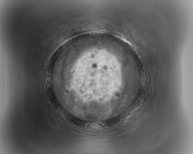 X0000095941255200802081230