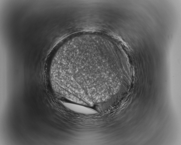 X0000095941256200802081230