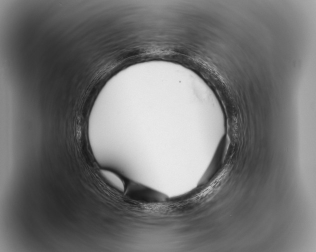 X0000095941257200802081230