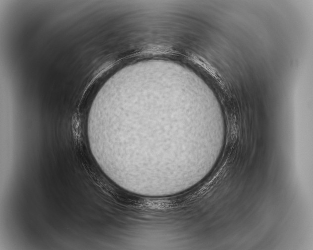 X0000095941258200802081230