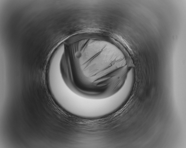 X0000095941260200802081230