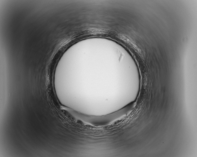 X0000095941261200802081230