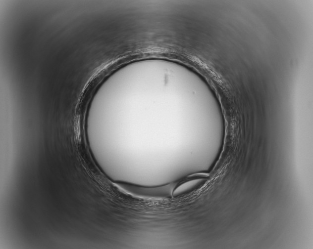 X0000095941262200802081230