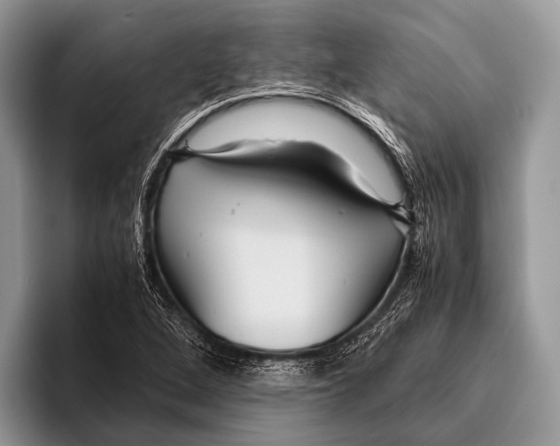 X0000095941264200802081230