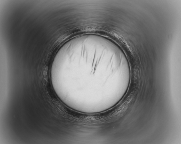 X0000095941265200802081230