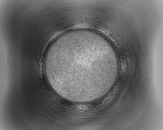 X0000095941266200802081230