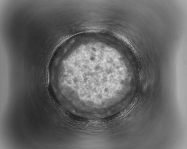 X0000095941267200802081230