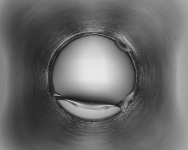 X0000095941268200802081230