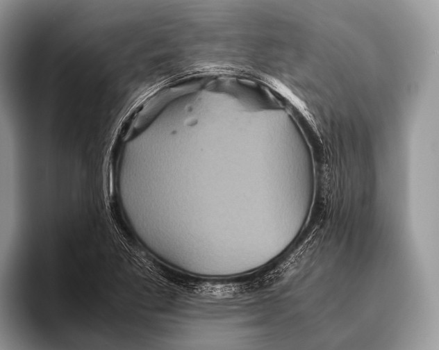 X0000095941269200802081230