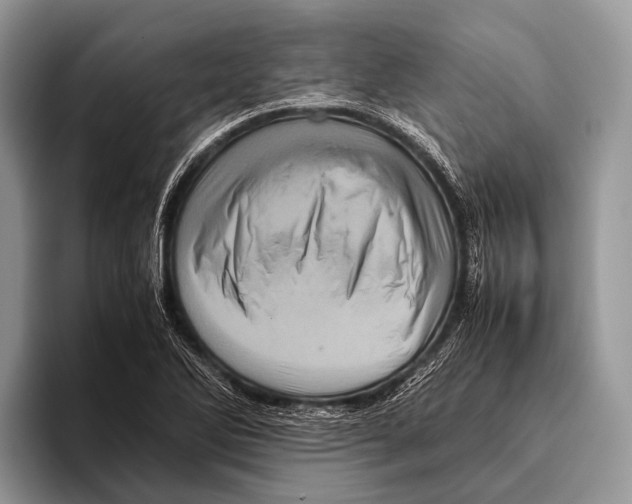 X0000095941270200802081230