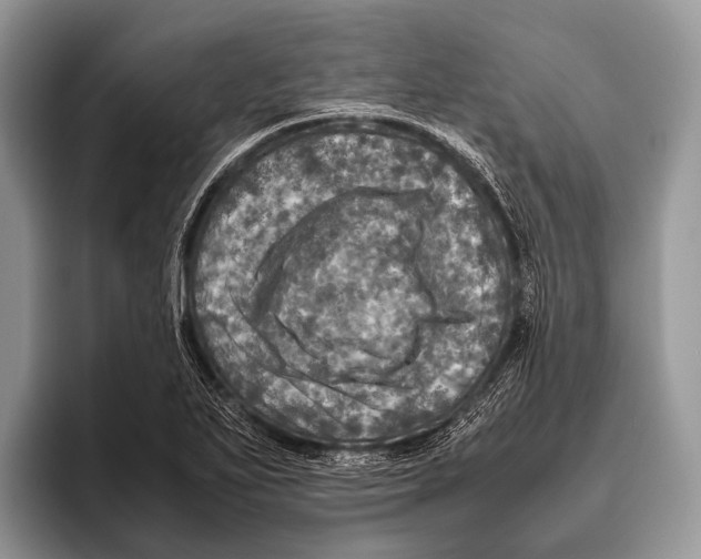 X0000095941271200802081230