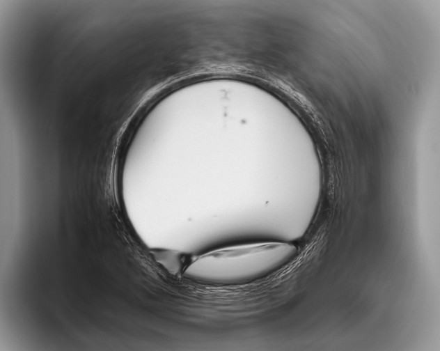 X0000095941272200802081230