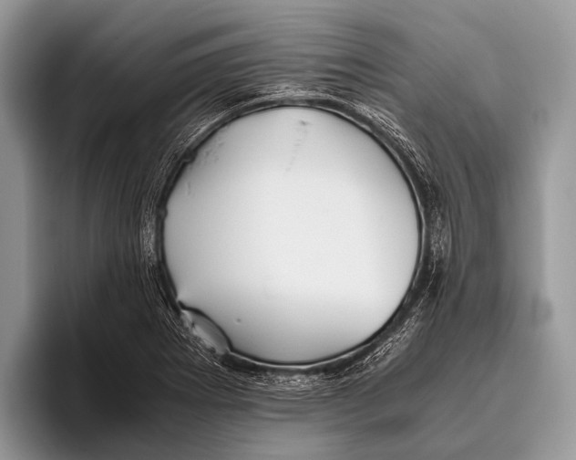 X0000095941273200802081230