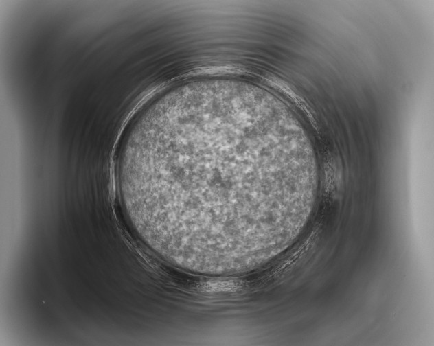 X0000095941274200802081230