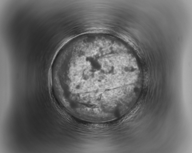 X0000095941275200802081230