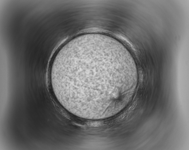 X0000095941278200802081230