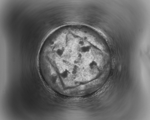 X0000095941279200802081230